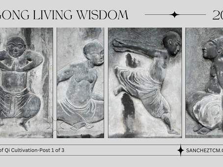 Qigong: Living Wisdom- Part 1
