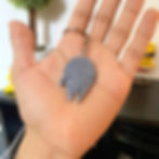 Halcón Milenario Llavero Guatemala