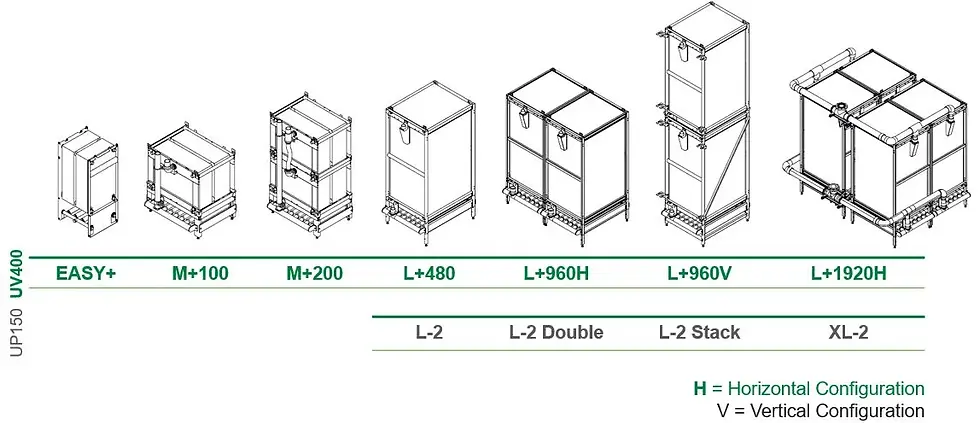 Bio-cel Models