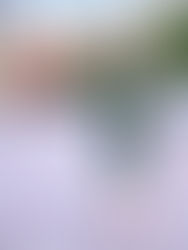 Barbara's Lifestyle Real Estate Session