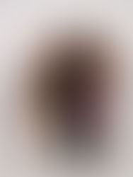 Orion's Business Lifestyle 