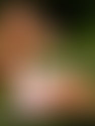 Allie B's Senior Photos