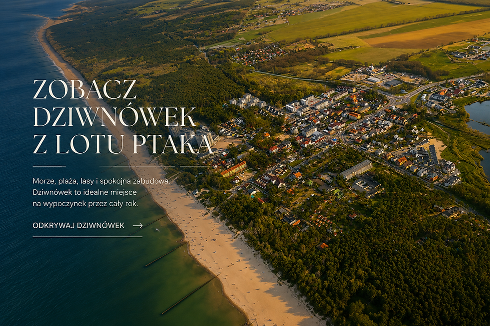 Panorama Dziwnówka z lotu ptaka: plaża, morze i las.