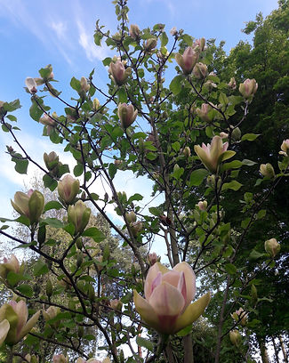 20190430_171916.jpg