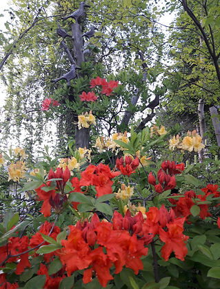 20190509_200607.jpg