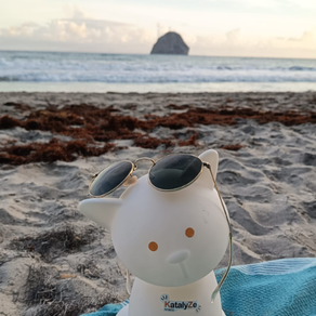 Une belle aventure avec Start Up de Territoire en Martinique ! 