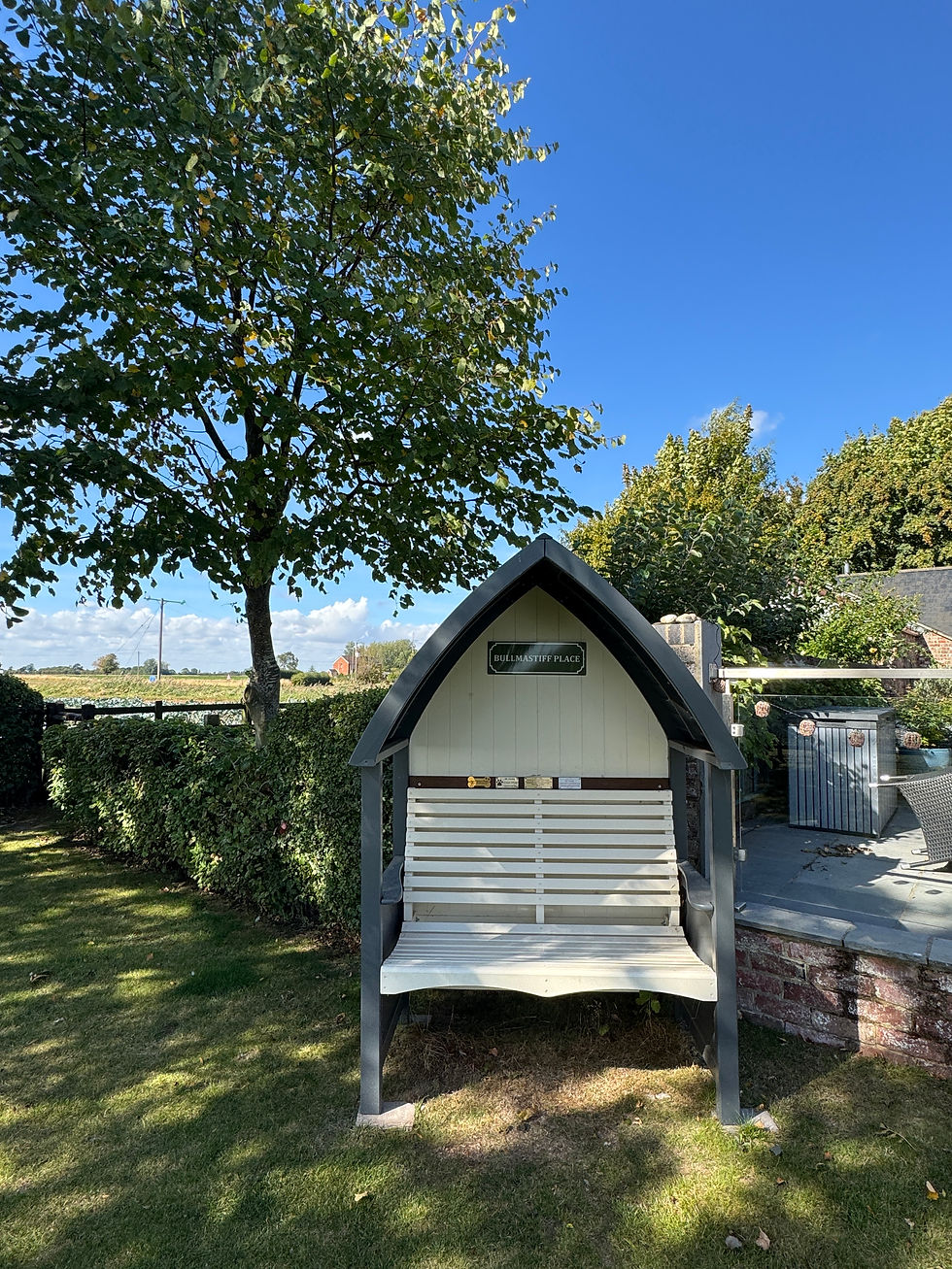 Thumbnail: Metal sign vintage style bullmastiff dog breed green