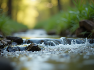 The Art of Mindful Living