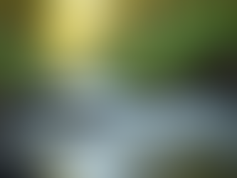 The Art of Mindful Living