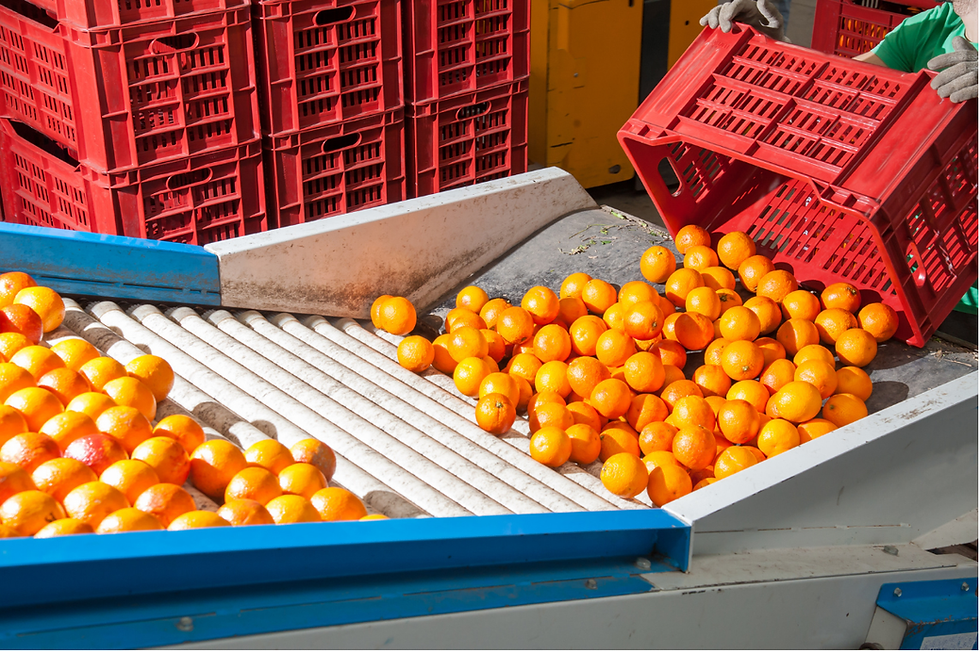 Vegnfruits-2.png