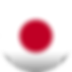 일본의 국기