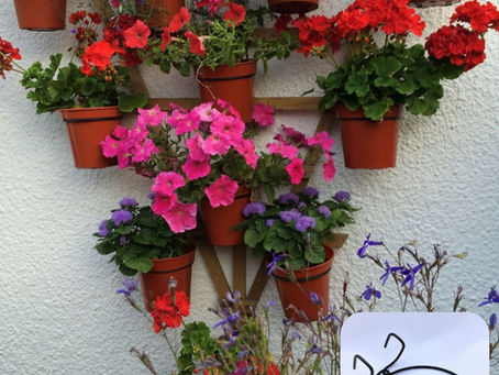 Transform a boring wall with trellis and Trellis hooks-simple quick and effective