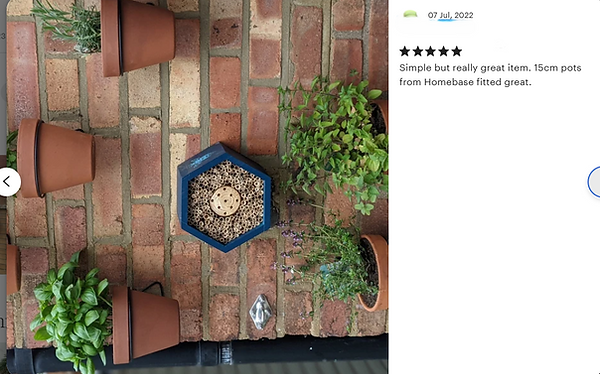 Pot plants hanging on a trellis