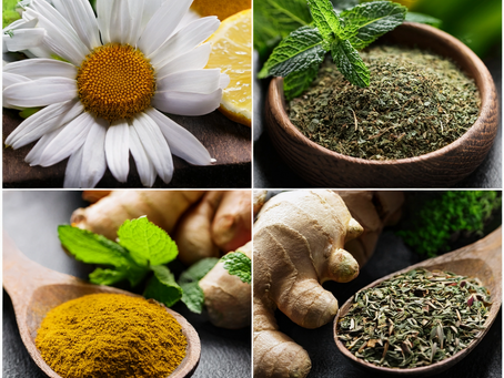 Herbal Deep Dive: Holistic and Herbal Approaches to Digestive Health