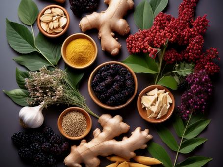 Herbal Deep Dive: Strengthening Immunity with Herbs