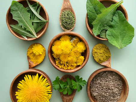 Kidney & Urinary Tract Health—Gentle Herbal Cleansing