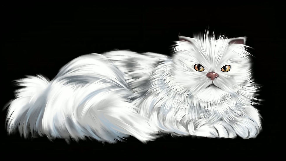 White_cat_lying_down_1080p_20260930173800.mp4