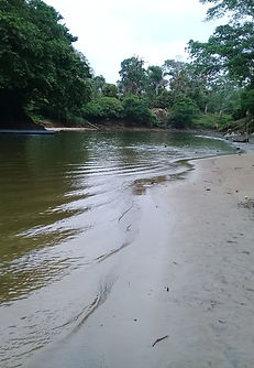 20190910_125642.jpg