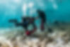 DSC_0444 smaller size.jpg
