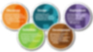 website-design-process (1).png
