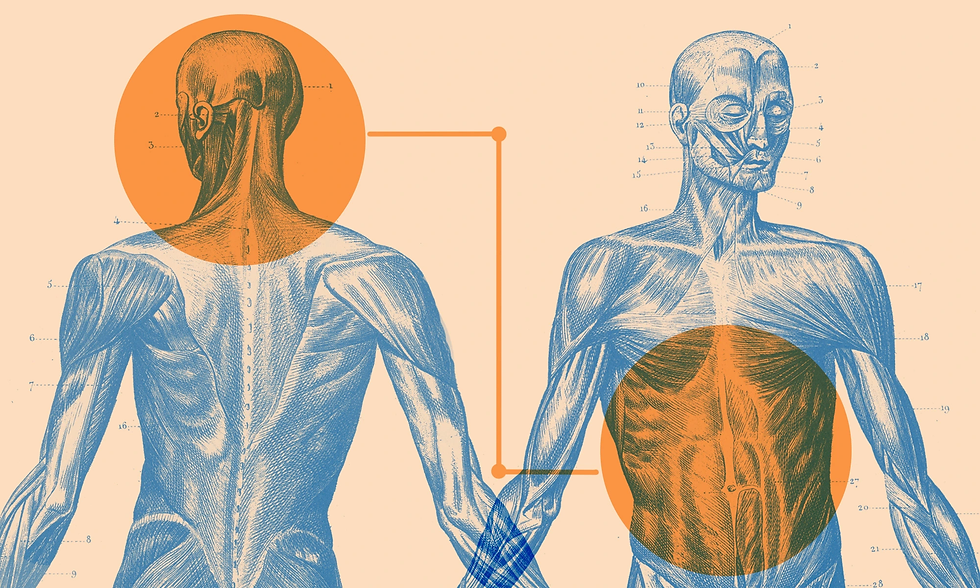 What Is Your Stomach Telling You?