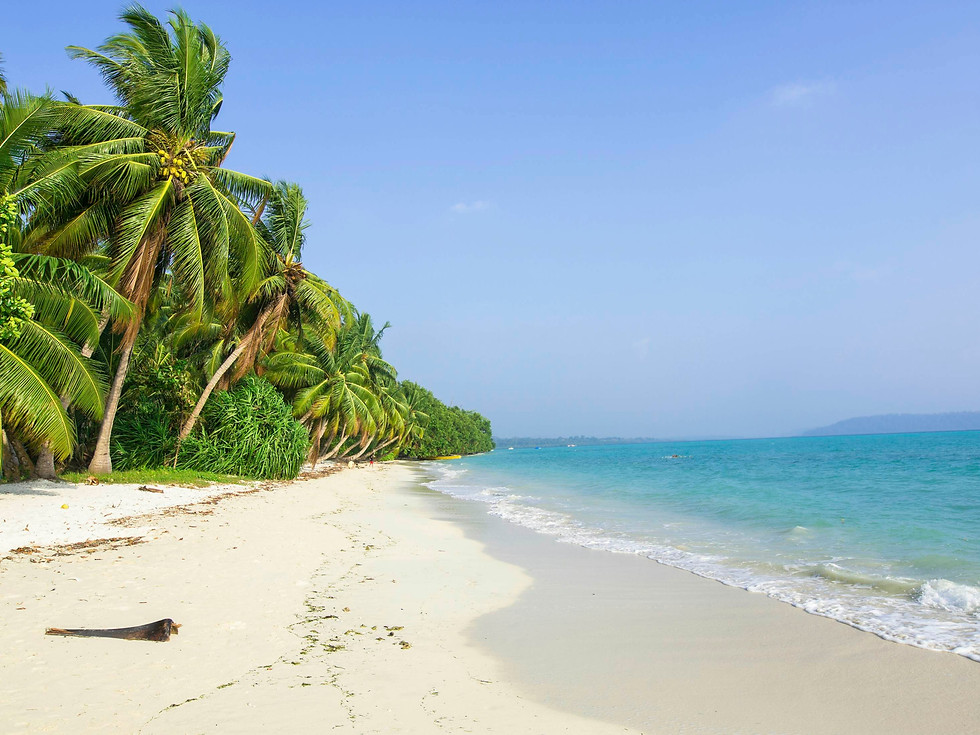 Thumbnail: 7N8D ANDAMAN NICOBAR