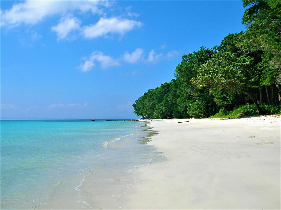 Thumbnail: 6N7D ANDAMAN