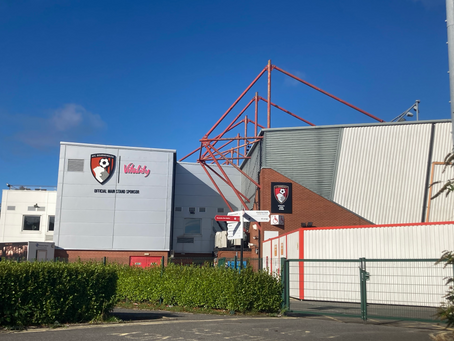 Celebrating 20 Years of The Vitality Stadium