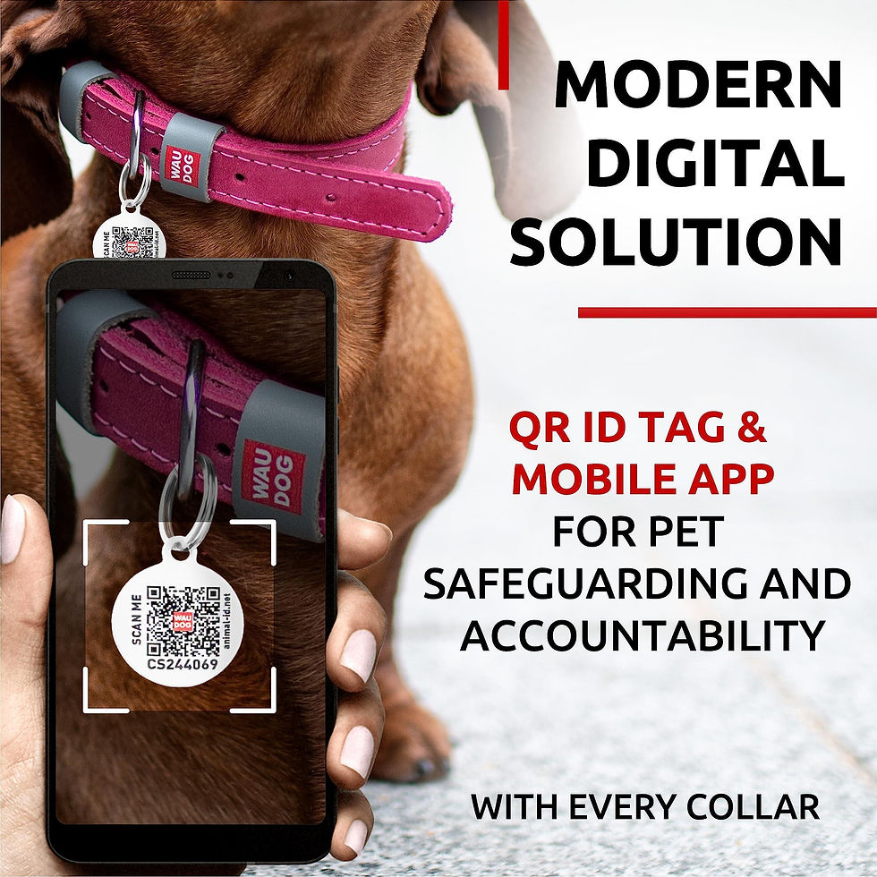 Thumbnail: Pink Long Lasting Leather Dog Collar for Small Dogs 1114 inch Neck Metal Buckle