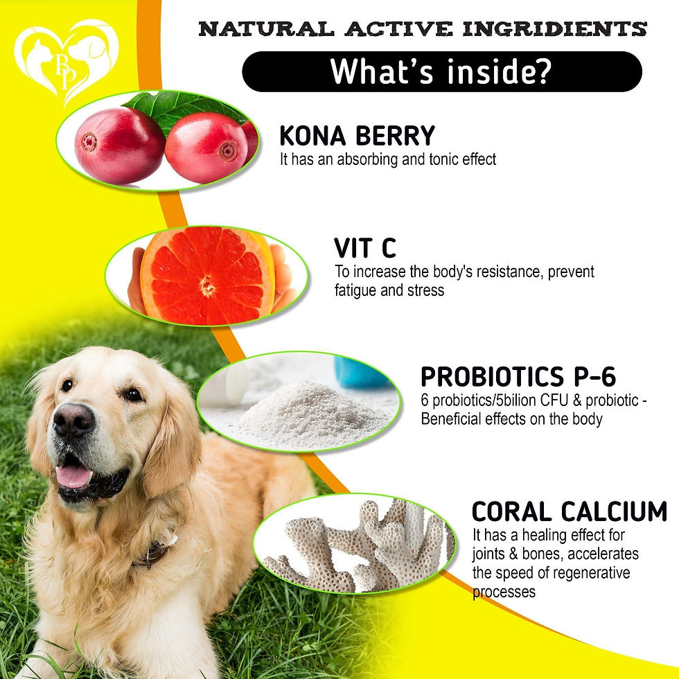 Thumbnail: Dog Anti Itch Allergy Relief Chews Dry Itchy Skin Hot Spot Treatment with Omega3