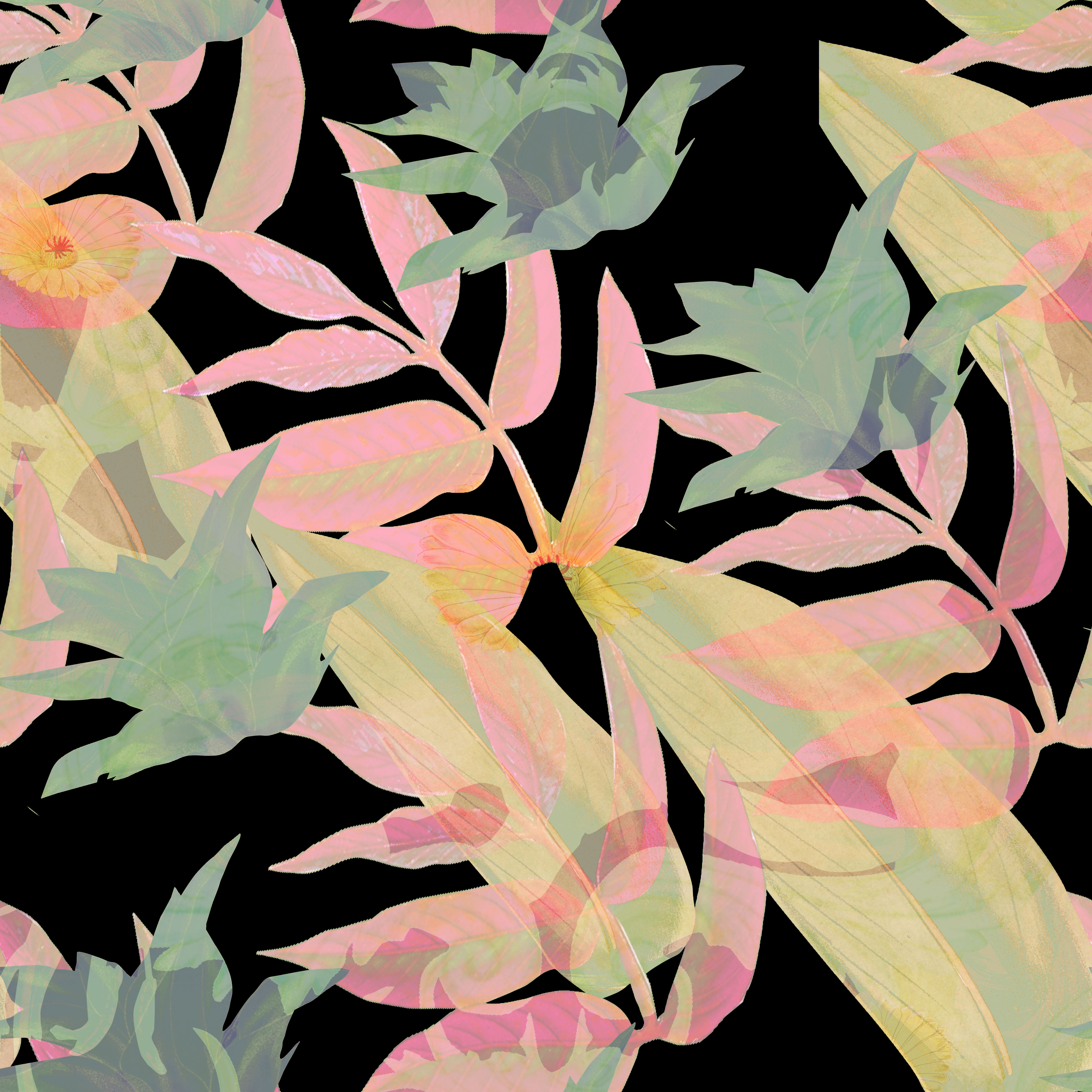 2023 Wallpaper Collection