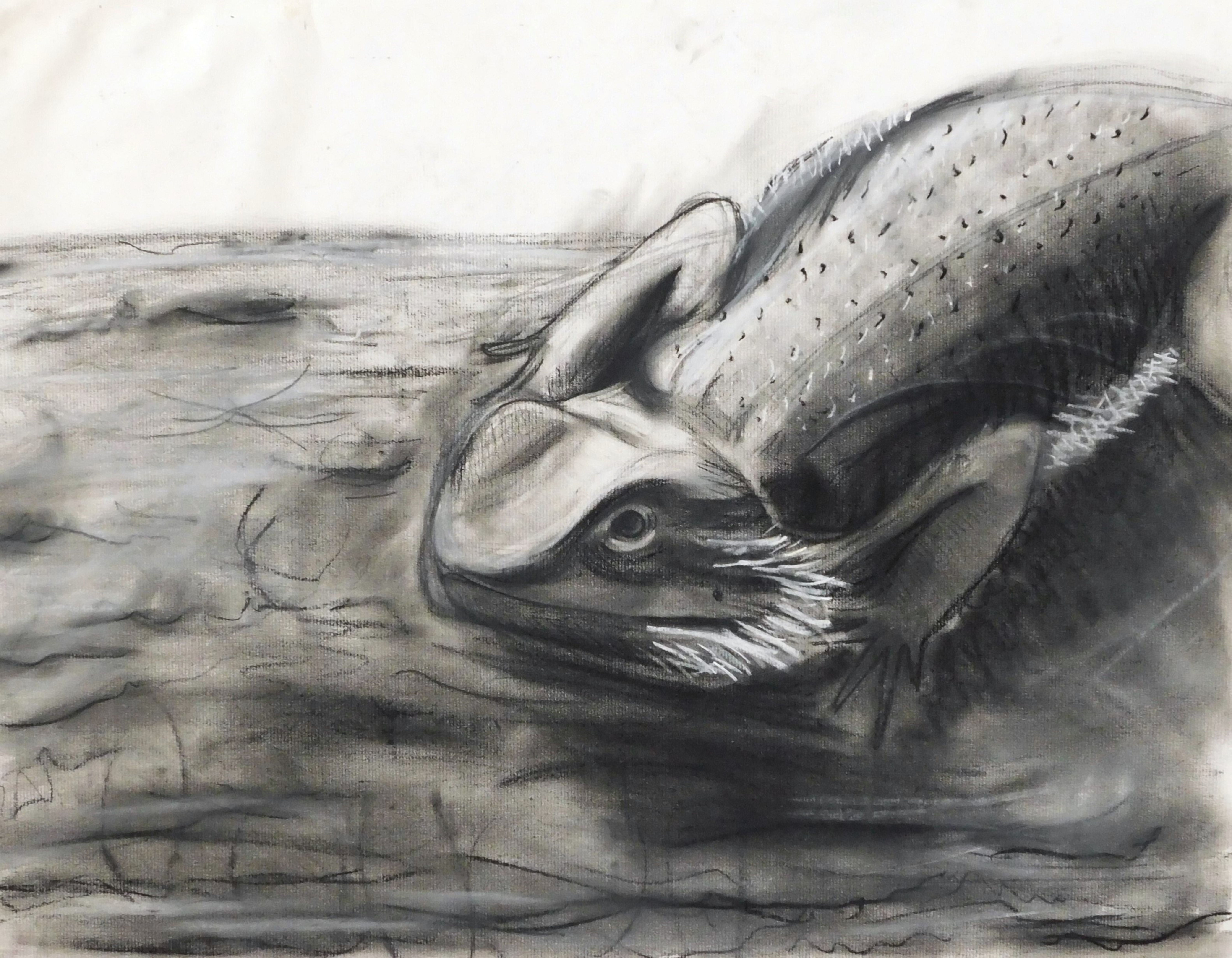 Bearded Dragon Print