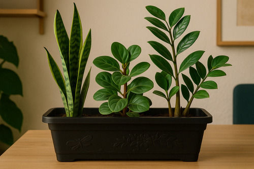 Miniatura: 5x Jardineira Retangular Top 33cmx14cm P/ Plantas Suculentas