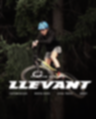 Screen Shot 2019-05-11 at 12.36.00 PM.pn