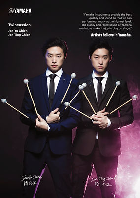 Twincussion aritst card Final.jpg