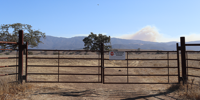 Fine art photography. Sycamore, photography series by Mariama Barry, photographer. 2021 © 2022 Mariama Barry. All rights reserved.