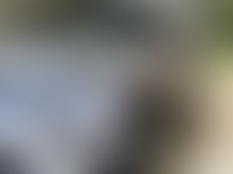 TOYOTA ハリアー スタンダードクレンジング