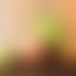 Stories from the Field: Papua New Guinea