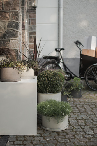 hornbach blumenkasten mit rankgitter JODA Rankpflanzkbel Rm aus druckimprgnierter Kiefer  FREESE Holz