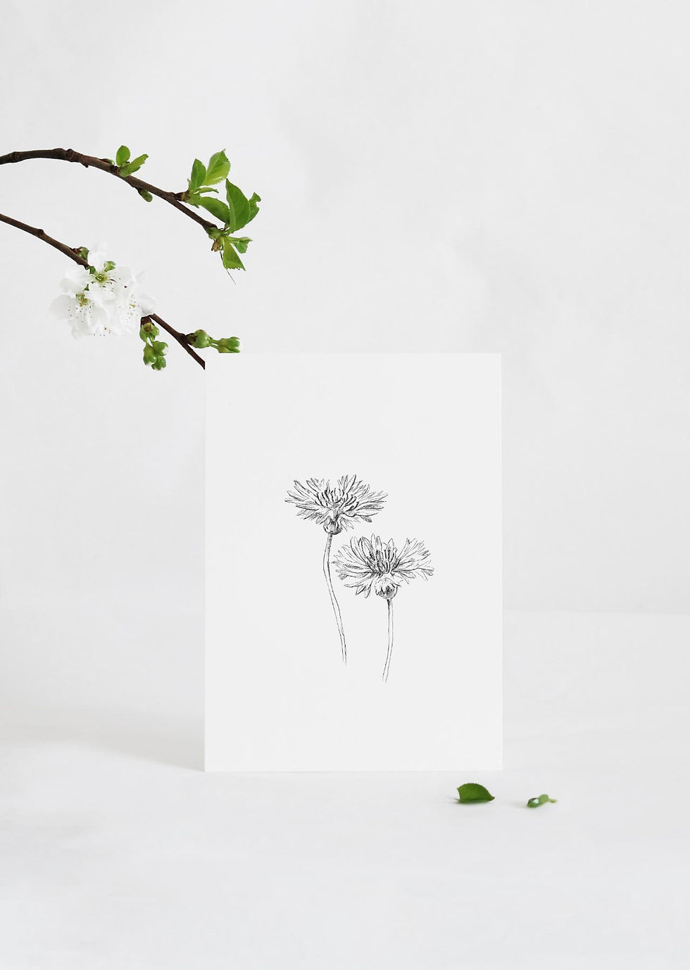Miniaturbild: Inkylines | A6 Karte, Kornblume