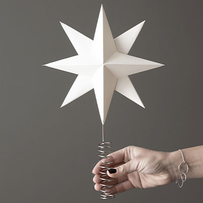 Miniaturbild: DBKD | Baumspitzenstern