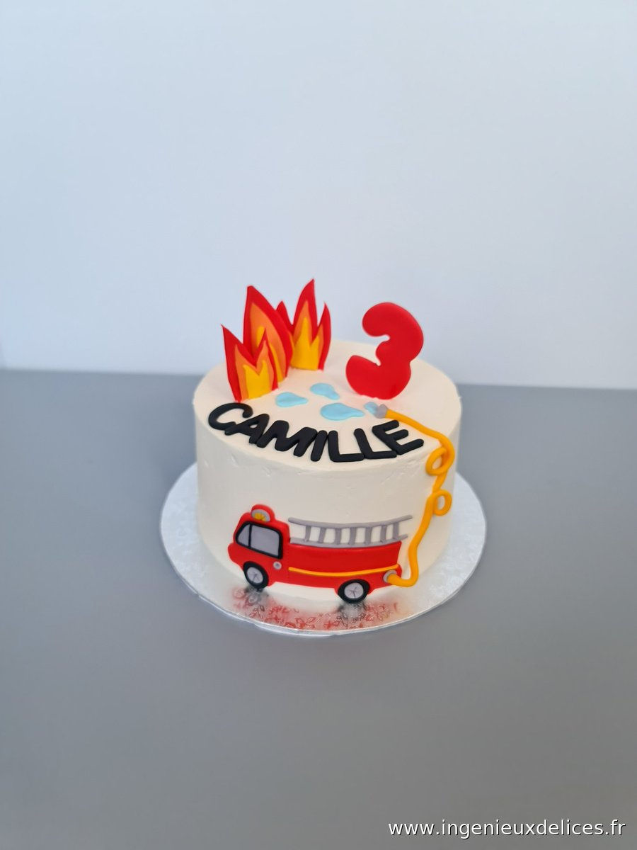 gâteau sur mesure pompier thème animaux La Garenne-Colombes 92