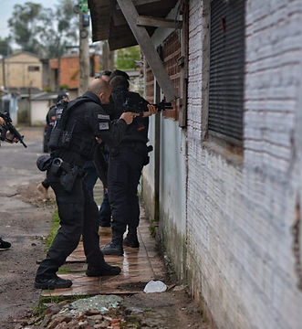 policia 338.1.jpeg