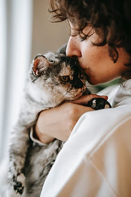 pexels-sam-lion-6001436.jpg