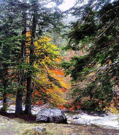 Gave de Cauterets au pont d'Espagne