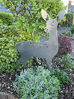 IMG_4439.jpg