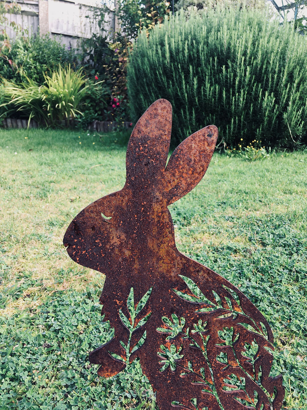 Thumbnail: Bunny Rabbits
