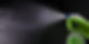 BactoAttaQ Startbild.jpg