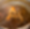 Screenshot 2025-05-02 182314.png