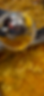 IMG_6406.png